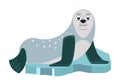 Cartoon seal on ice floe vector illustration in flat cartoon