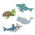 Cartoon sean animals set. Sea turtle, shark, hammerhead fish, beluga white whale. Sea and ocean animals. Royalty Free Stock Photo