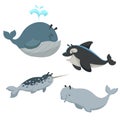 Cartoon sean animals set. Whale with fountain, killer whale orca, white beluga whale and narwhal. Sea and nord ocean animals. Royalty Free Stock Photo