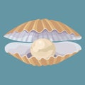 Cartoon seashell with a pearl. Seashell. Vector illustration of a clam. Drawing for children.