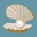 Cartoon seashell with a pearl. Seashell. Vector illustration of a clam. Drawing for children.