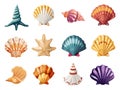 Cartoon seashells colorful shell starfish coral conch cockleshell sea beach underwater scallop set vector illustration Royalty Free Stock Photo