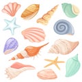 Cartoon seashells and starfish, tropical ocean seashell. Snail, oyster, clam shell, marine mollusk shells, summer beach Royalty Free Stock Photo