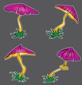 Cartoon seasonal poisonous mushroom with lilac cap