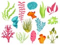 Cartoon seaweed. Natural seaweeds, underwater corals and algae. Isolated ocean and aquarium objects. Sea plants