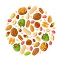 Cartoon seeds and nuts. Almond, peanut, cashew, sunflower seeds, hazelnut and pistachio. Nut food vector illustration Royalty Free Stock Photo