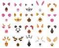 Cartoon selfie or video chat animal faces masks. Cute animals video chat effects, dog, fox, panda nose and ears vector
