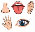 Cartoon sensory organs icons. Nose, ear, hand, tongue and eye. Five human senses education concept. Vector illustration Royalty Free Stock Photo