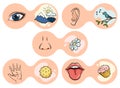 Cartoon sensory organs icons. Nose, ear, hand, tongue and eye. Five human senses education concept. Vector illustration Royalty Free Stock Photo