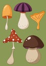 Cartoon set of a coloured mushrooms, poisoned and healthy, vegetarian food in a flat style.