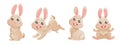 Cartoon set of cute bunnies. Banner with vector illustrations. Vector brown bunny is sitting, jumping in cute poses