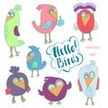 Cartoon set of funny colourful bird. Little cute birds isolated. Vector illustration collection. Royalty Free Stock Photo