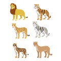 Cartoon set lion tiger leopard white tiger puma ocelot. Royalty Free Stock Photo