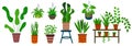 Cartoon set of plants in pots isolated on white background. Royalty Free Stock Photo