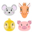 Cartoon set Vector Animals farm face,four objects mouse, pig, horse, chick. Royalty Free Stock Photo