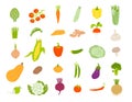 Cartoon set of vegetables isolated. Vector stock illustration of different healthy vegetables. Edible plants in a flat Royalty Free Stock Photo