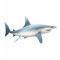 a cartoon shark with a big smile on its face and a toothy smile on its face, on a white background, with a clipping area for text
