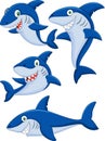 Cartoon shark collection set Royalty Free Stock Photo