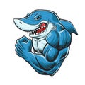 Cartoon shark mascot