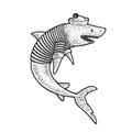 Cartoon shark sailor sketch vector illustration Royalty Free Stock Photo