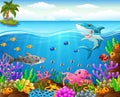 Cartoon shark under the sea Royalty Free Stock Photo