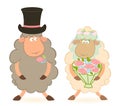 Cartoon sheep bridegroom and bride