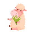 Cartoon sheep eats grass. Vector illustration on white background. Royalty Free Stock Photo