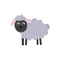 Cartoon Sheep. Education card for kids learning animals Royalty Free Stock Photo