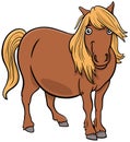 Cartoon shetland pony farm animal character