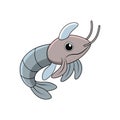 Cartoon shrimp illustration with large eye on white backdrop Royalty Free Stock Photo
