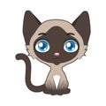 Cartoon Siamese cat illustration Royalty Free Stock Photo