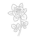 cartoon simple easy simple rose drawing.rose flower drawing is easy for kids, pencil how to draw a rose,