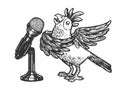 Cartoon singing parrot sketch engraving vector Royalty Free Stock Photo