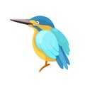 Cartoon sitting blue kingfisher in flat style. An unusual migratory small blue-yellow bird. Icon with a city bird