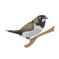 Cartoon sitting sparrow in flat design style.