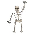 Cartoon Skeleton. Vector Illustration. Royalty Free Stock Photo