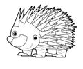 Cartoon sketch drawing australian scene with happy and funny echidna hedgehog on white background - illustration