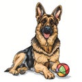 Cartoon sketch of german shepherd dog playing with multicolored toy ball on white background Royalty Free Stock Photo