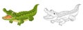 Cartoon Sketch Scene With Alligator Crocodile Illustration