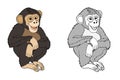 Cartoon sketch scene animal ape chimpanzee - illustration