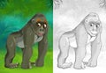 Cartoon sketch scene with ape monkey gorilla in the forest - illustration
