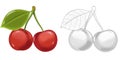 Cartoon sketch scene fruit cherry illustration