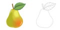 Cartoon sketch scene fruit pear on white background illustration