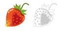 Cartoon sketch scene fruit strawberry looking on white background illustration