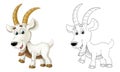 Cartoon sketch scene with horned goat standing and looking illustration Royalty Free Stock Photo