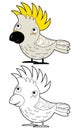 Cartoon sketchbook asian animal bird cockatoo on white background illustration