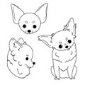 Cartoon sketches of chihuahua drawn by hand. Vector illustration on white background in simple style