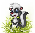 Cartoon skunk on grass background