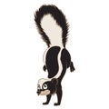 Cartoon Skunk