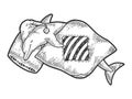 Cartoon sleeping dolphin sketch engraving vector Royalty Free Stock Photo